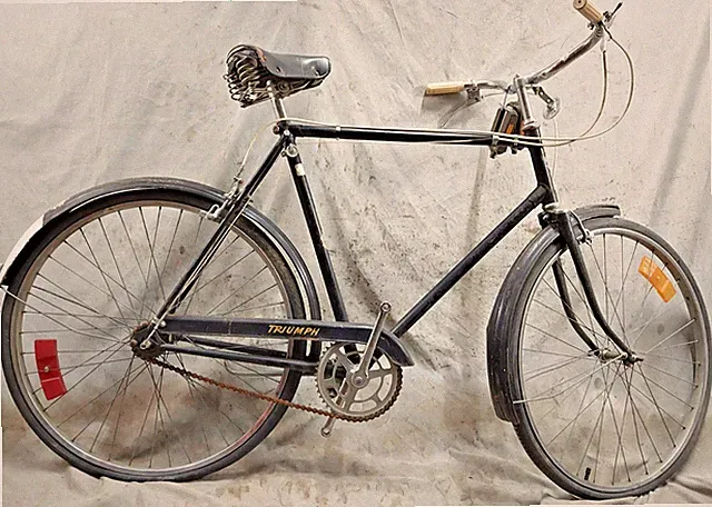 1971 Raleigh Triumph Vintage Cruiser Bike X-Large 22" 3 SPD Sturmey Archer Steel