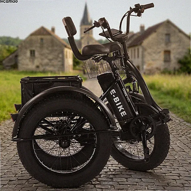 Easy Fold Electric 3 Wheel Bike 500W Single Speed E-Trike Low Maintenance 20"